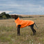 Fleece Dog Coat - Orange