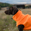 Fleece Dog Coat - Orange