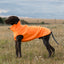 Fleece Dog Coat - Orange