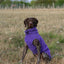 Fleece Dog Coat - Purple