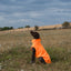 Fleece Dog Coat - Orange