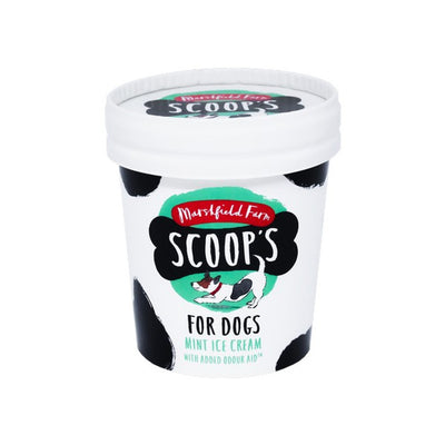Scoops Ice Cream for Dogs 125ml