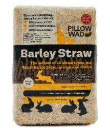 Large Bio Straw