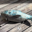Eco Conscious Shark Dog Toy